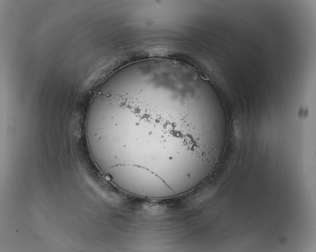 X0000112020311200908031404