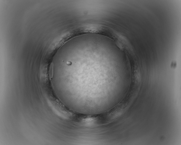 X0000112020312200908031404