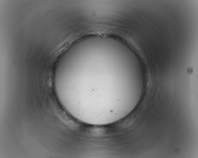 X0000112020313200908031404