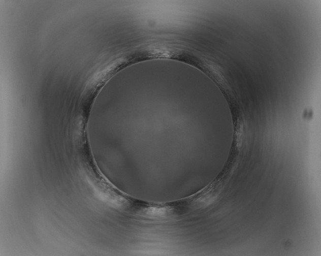 X0000112020314200908031404