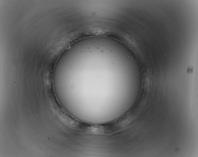 X0000112020317200908031403