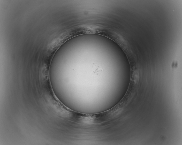 X0000112020318200908031403