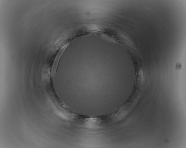 X0000112020320200908031403