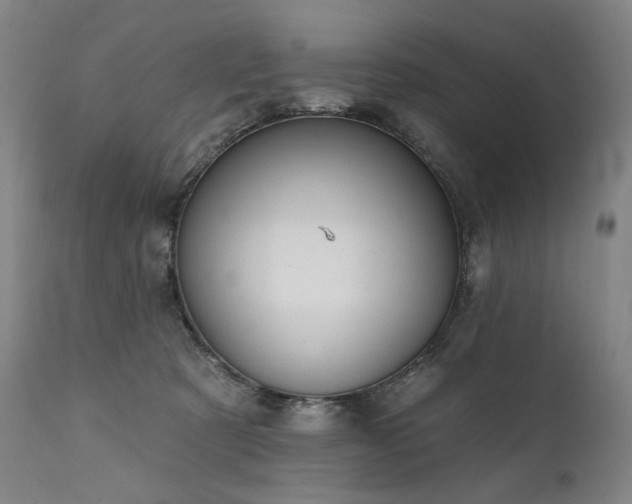 X0000112020321200908031403