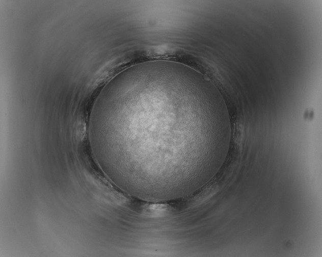 X0000112020324200908031403