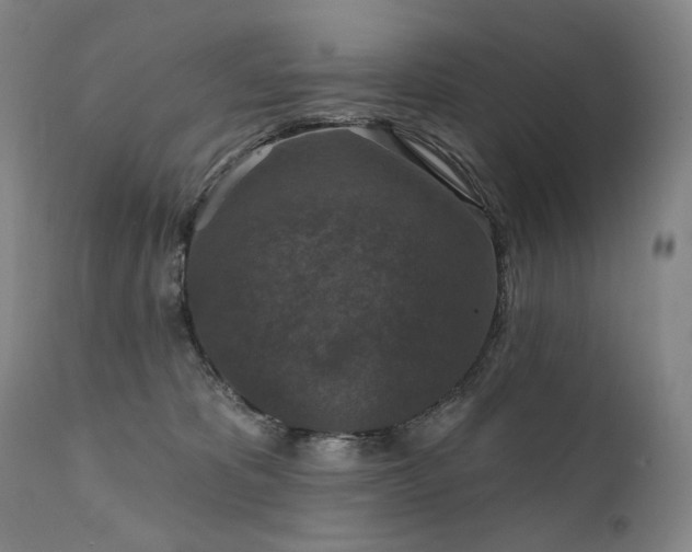 X0000112020325200908031403