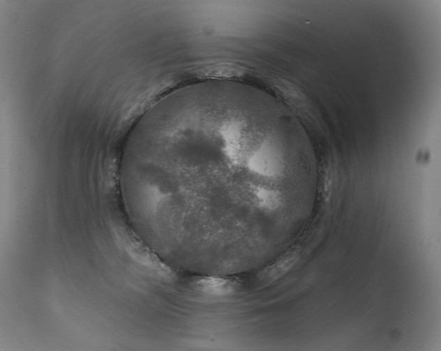 X0000112020326200908031403