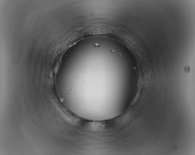 X0000112020327200908031403