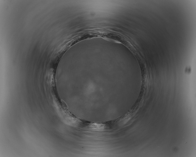 X0000112020328200908031403