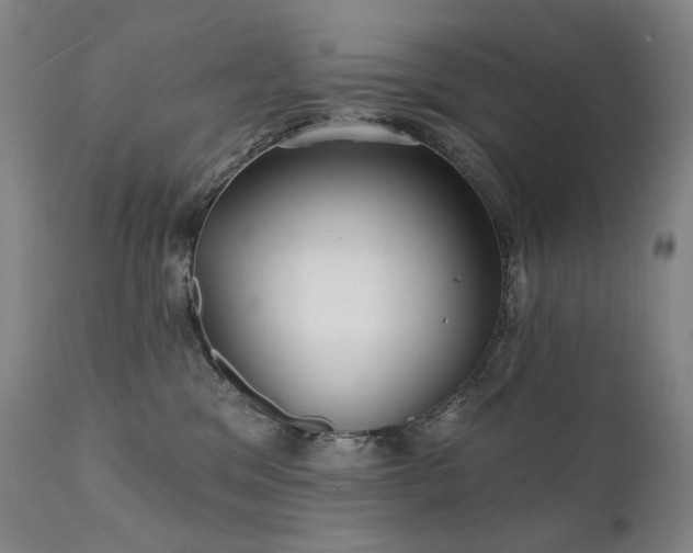 X0000112020329200908031403