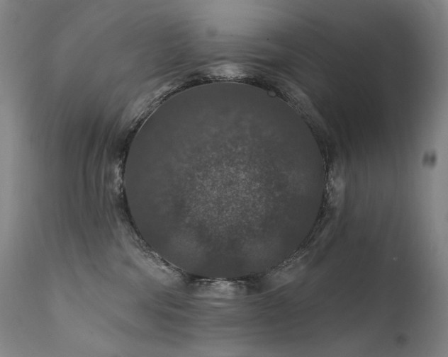 X0000112020330200908031403