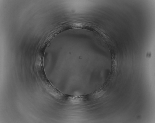 X0000112020331200908031403