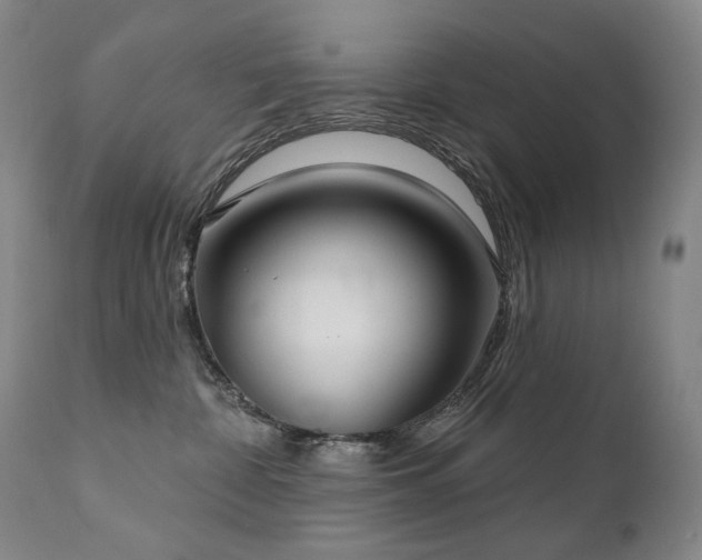 X0000112020332200908031403