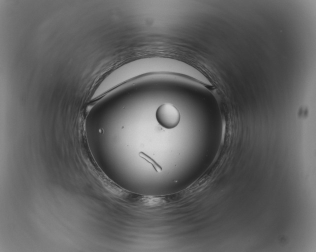 X0000112020333200908031403