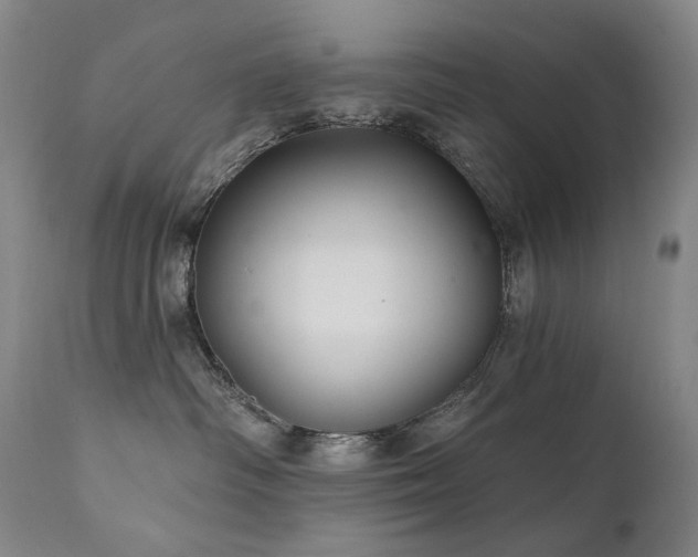 X0000112020334200908031403