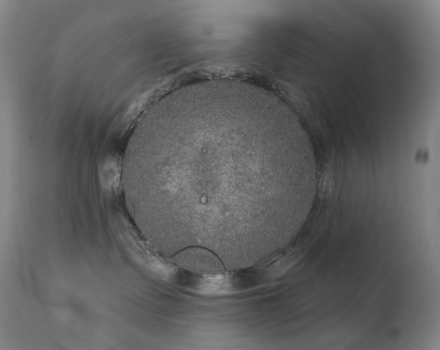 X0000112020335200908031403