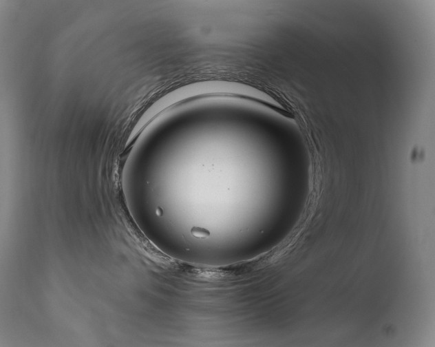 X0000112020336200908031403