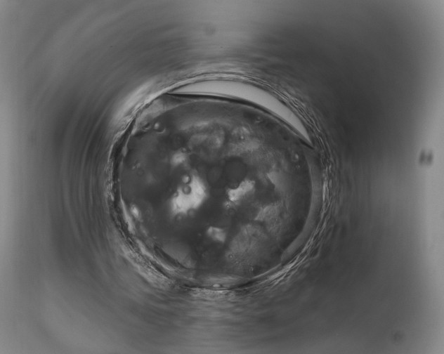 X0000112020339200908031403