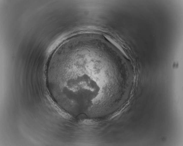 X0000112020341200908031403