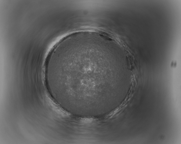 X0000112020342200908031403