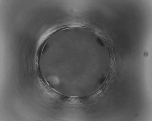 X0000112020343200908031403