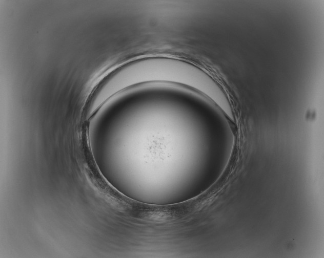 X0000112020344200908031403