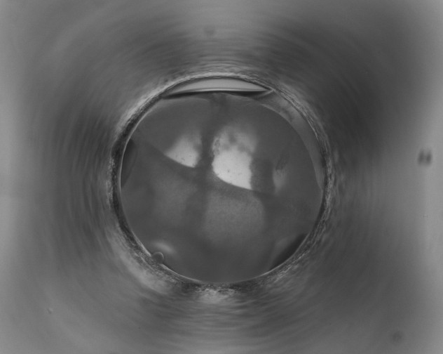 X0000112020346200908031403