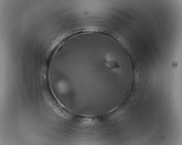 X0000112020347200908031403