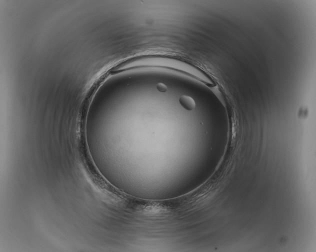 X0000112020348200908031403