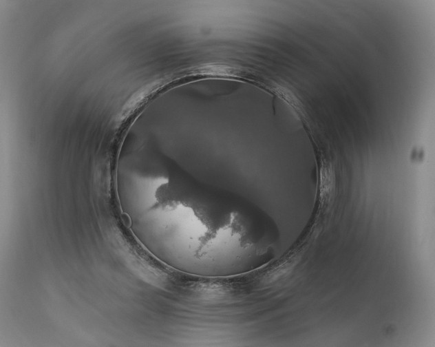 X0000112020349200908031403