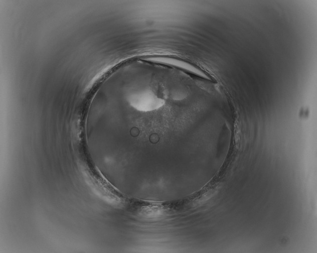 X0000112020351200908031403