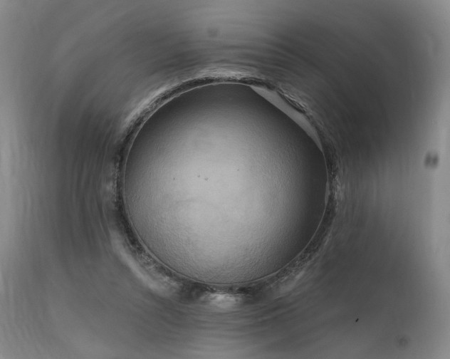 X0000112020352200908031403