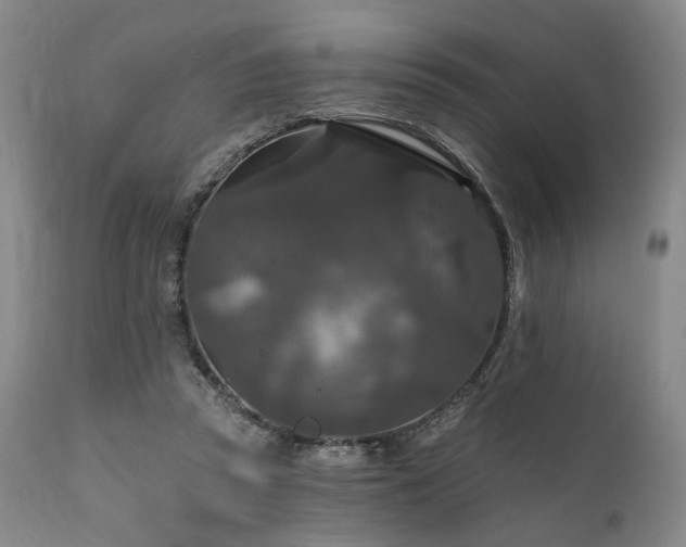 X0000112020353200908031403