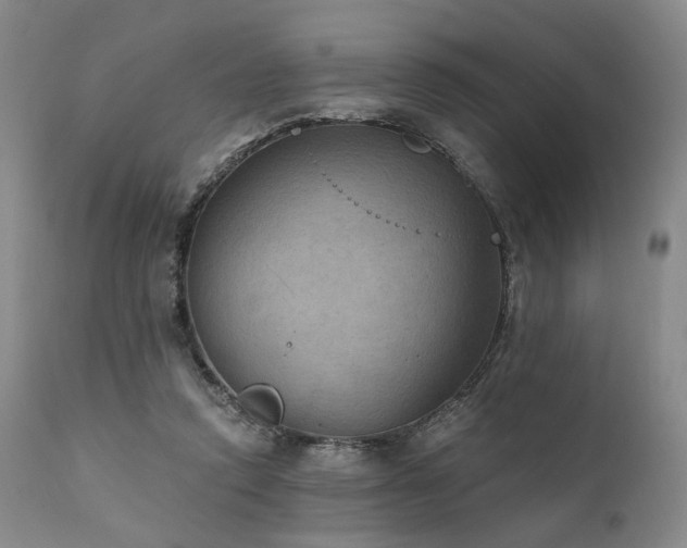 X0000112020354200908031403