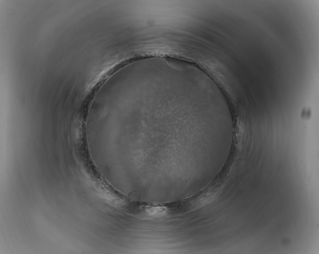 X0000112020355200908031403