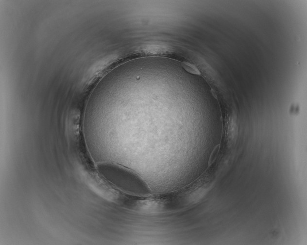 X0000112020356200908031403