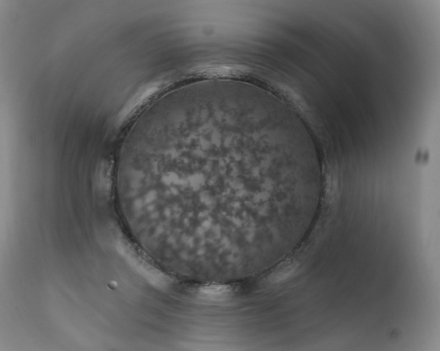 X0000112020357200908031403