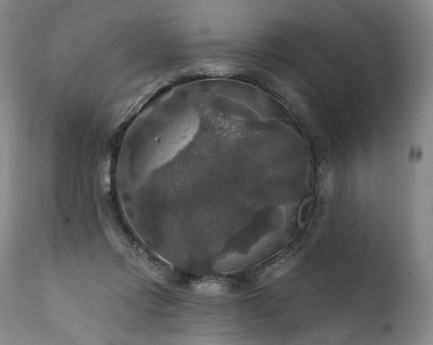 X0000112020358200908031403