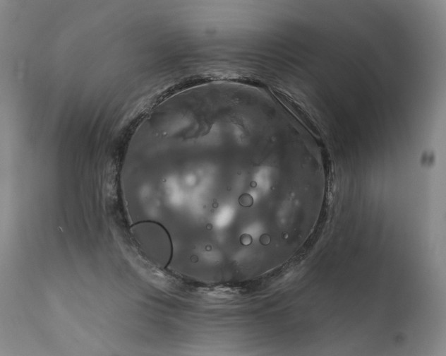 X0000112020359200908031403