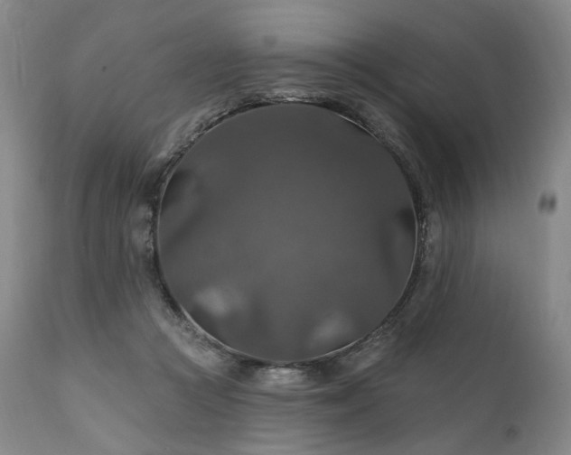 X0000112020361200908031403