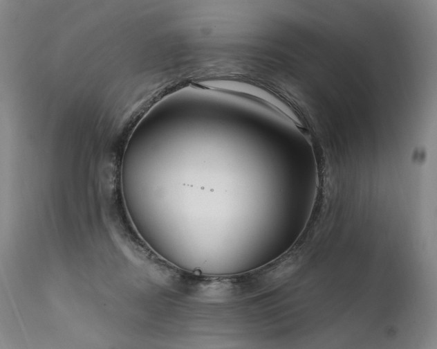 X0000112020362200908031403