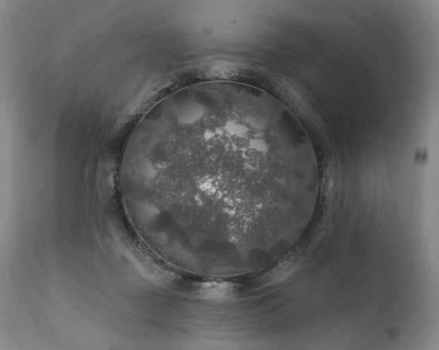 X0000112020363200908031403