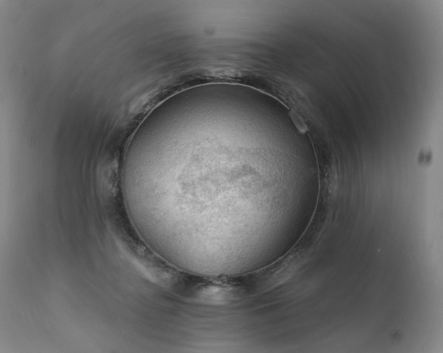 X0000112020364200908031403