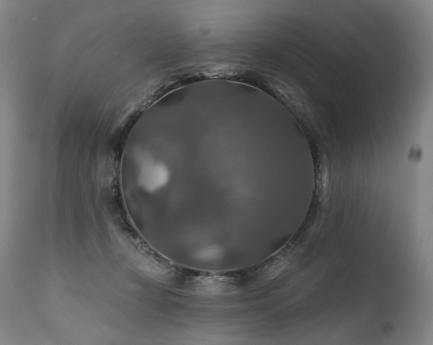 X0000112020367200908031403