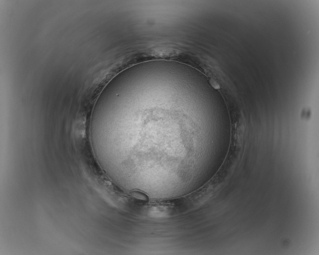 X0000112020368200908031403