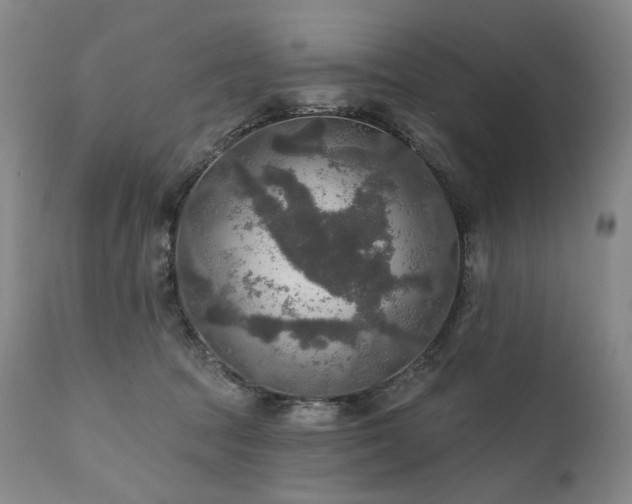 X0000112020369200908031403