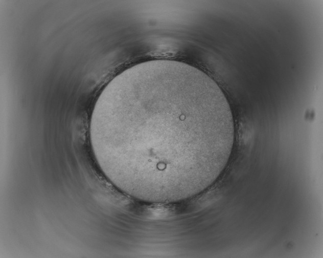 X0000112020370200908031403