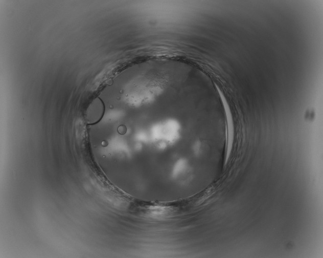 X0000112020371200908031403