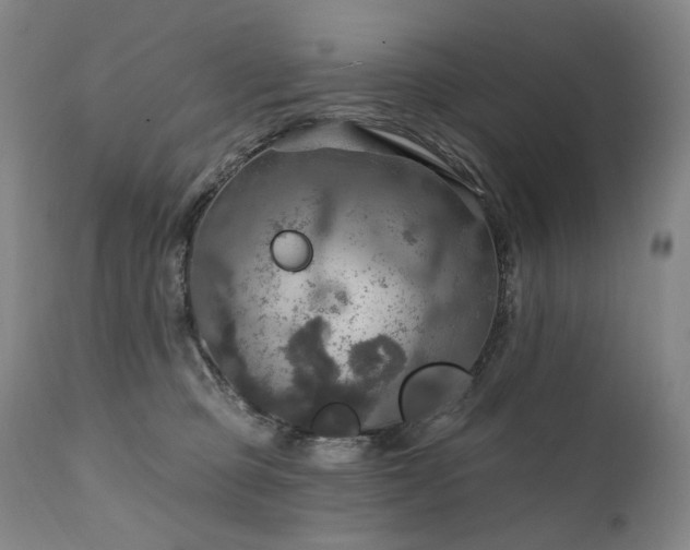 X0000112020373200908031403