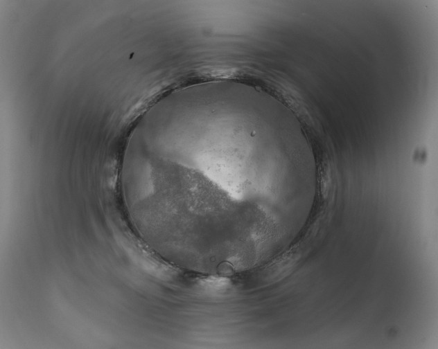 X0000112020374200908031403